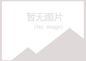 兴山区书蕾建设有限公司